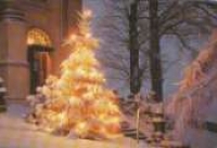 Weihnachten - Heut schließt er wieder auf die Tür Nr. 113